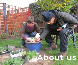 About us